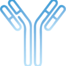 graphic image of antibody